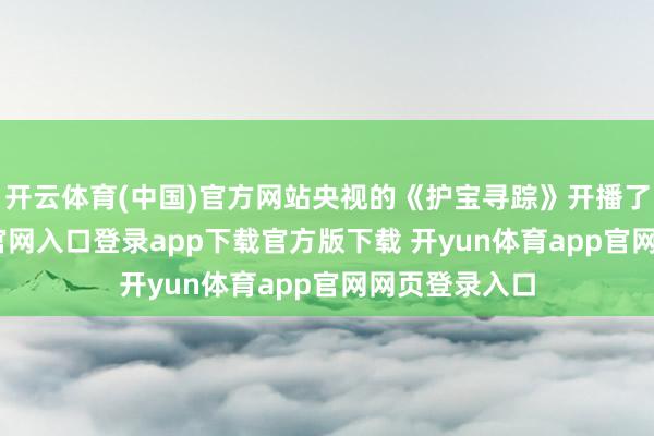 开云体育(中国)官方网站央视的《护宝寻踪》开播了-开yun体育官网入口登录app下载官方版下载 开yun体育app官网网页登录入口