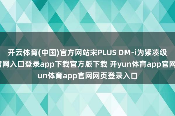 开云体育(中国)官方网站宋PLUS DM-i为紧凑级-开yun体育官网入口登录app下载官方版下载 开yun体育app官网网页登录入口