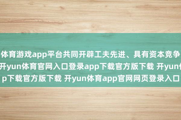 体育游戏app平台共同开辟工夫先进、具有资本竞争力的电板宗旨及居品-开yun体育官网入口登录app下载官方版下载 开yun体育app官网网页登录入口