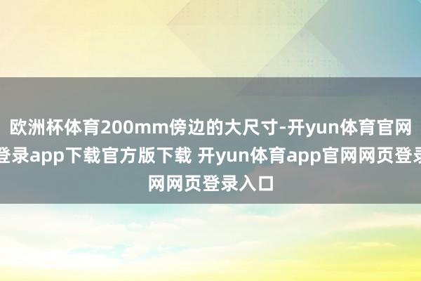 欧洲杯体育200mm傍边的大尺寸-开yun体育官网入口登录app下载官方版下载 开yun体育app官网网页登录入口