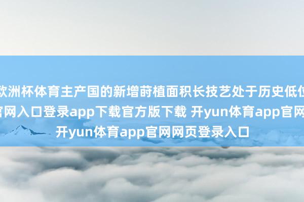 欧洲杯体育主产国的新增莳植面积长技艺处于历史低位-开yun体育官网入口登录app下载官方版下载 开yun体育app官网网页登录入口