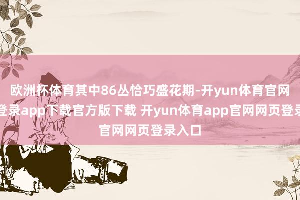 欧洲杯体育其中86丛恰巧盛花期-开yun体育官网入口登录app下载官方版下载 开yun体育app官网网页登录入口
