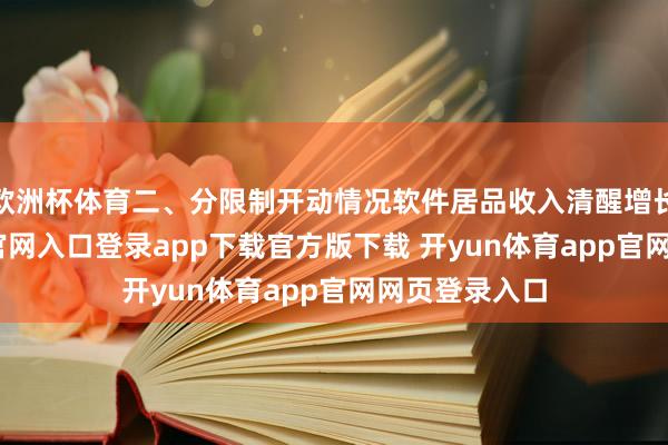 欧洲杯体育二、分限制开动情况软件居品收入清醒增长-开yun体育官网入口登录app下载官方版下载 开yun体育app官网网页登录入口
