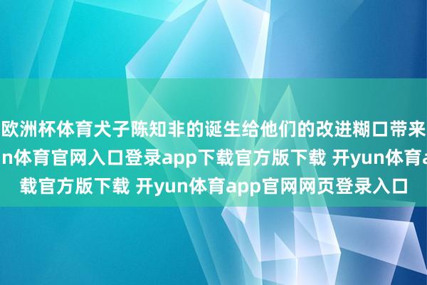 欧洲杯体育犬子陈知非的诞生给他们的改进糊口带来了平和的光辉-开yun体育官网入口登录app下载官方版下载 开yun体育app官网网页登录入口