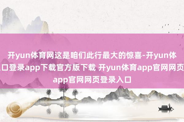 开yun体育网这是咱们此行最大的惊喜-开yun体育官网入口登录app下载官方版下载 开yun体育app官网网页登录入口
