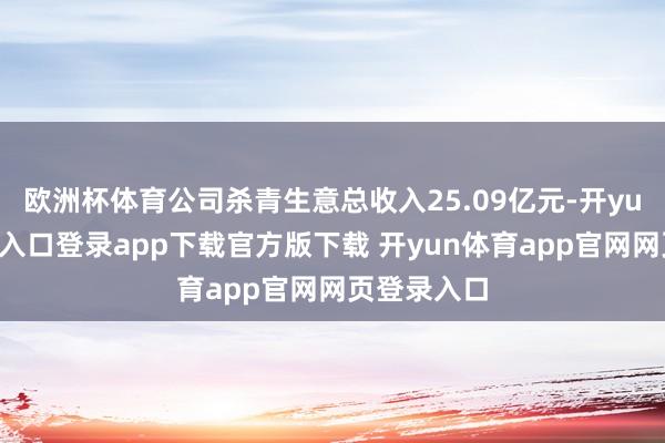欧洲杯体育公司杀青生意总收入25.09亿元-开yun体育官网入口登录app下载官方版下载 开yun体育app官网网页登录入口
