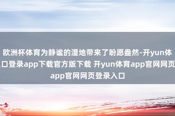 欧洲杯体育为静谧的湿地带来了盼愿盎然-开yun体育官网入口登录app下载官方版下载 开yun体育app官网网页登录入口