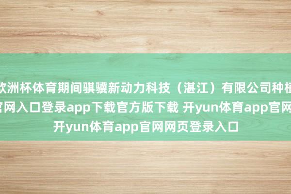 欧洲杯体育期间骐骥新动力科技（湛江）有限公司种植-开yun体育官网入口登录app下载官方版下载 开yun体育app官网网页登录入口