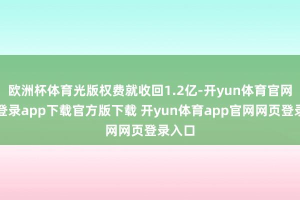 欧洲杯体育光版权费就收回1.2亿-开yun体育官网入口登录app下载官方版下载 开yun体育app官网网页登录入口
