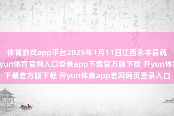 体育游戏app平台2025年1月11日江西永丰县蔬菜批发商场价钱行情-开yun体育官网入口登录app下载官方版下载 开yun体育app官网网页登录入口