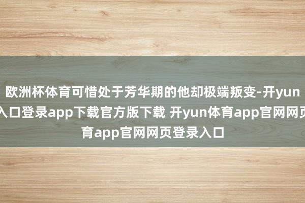 欧洲杯体育可惜处于芳华期的他却极端叛变-开yun体育官网入口登录app下载官方版下载 开yun体育app官网网页登录入口