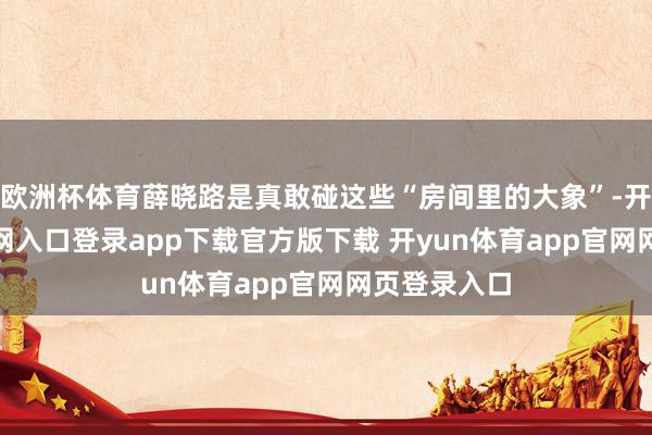 欧洲杯体育薛晓路是真敢碰这些“房间里的大象”-开yun体育官网入口登录app下载官方版下载 开yun体育app官网网页登录入口