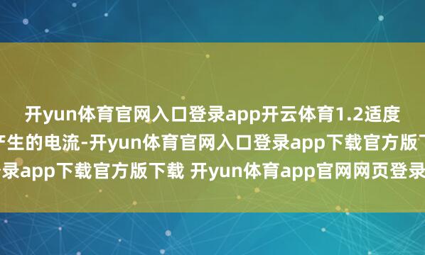 开yun体育官网入口登录app开云体育1.2适度器：用于调节电板板产生的电流-开yun体育官网入口登录app下载官方版下载 开yun体育app官网网页登录入口