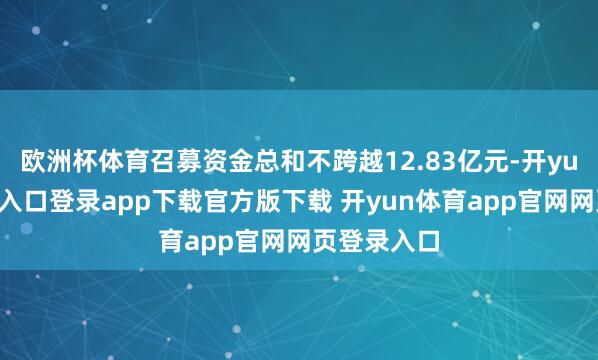 欧洲杯体育召募资金总和不跨越12.83亿元-开yun体育官网入口登录app下载官方版下载 开yun体育app官网网页登录入口